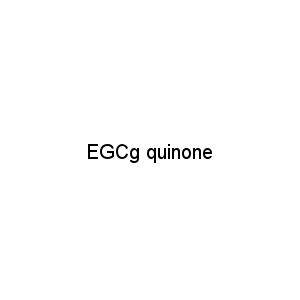 EGCg quinone
